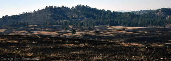 Rankin Ridge Prescribed Burn - Wind Cave National Park